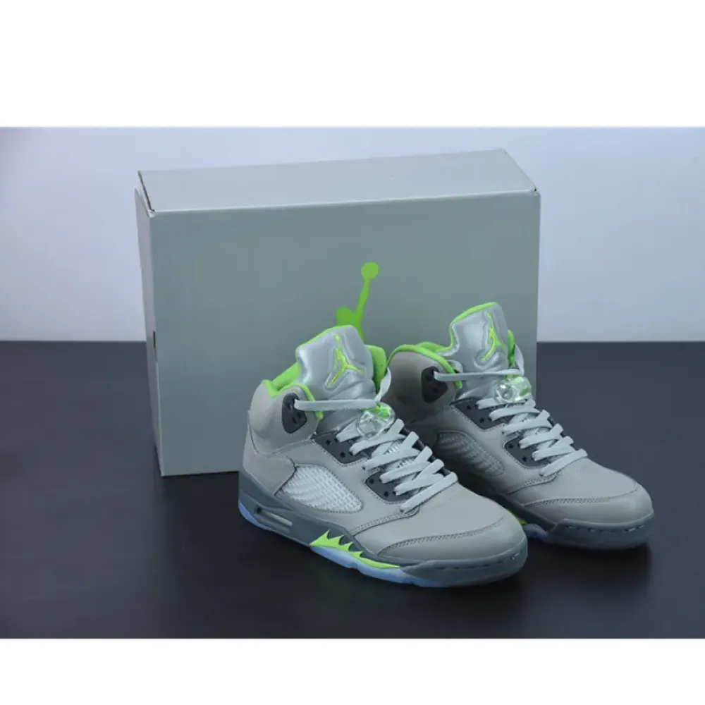 Air Jordan 5 Silver/Green Bean/Flint Grey  DM9014-003