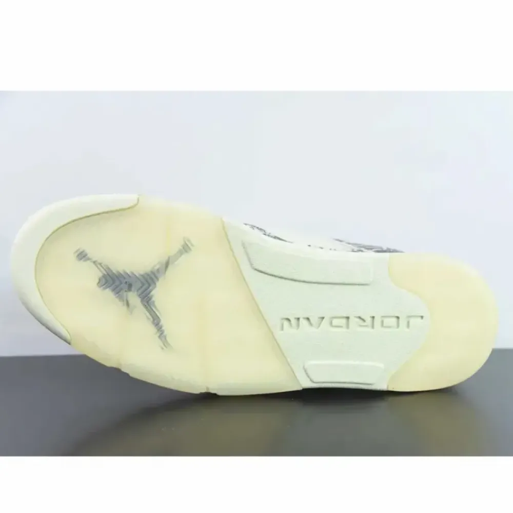 Air Jordan 5 Low “Expression” Coconut Milk/White/Black  DA8016-100