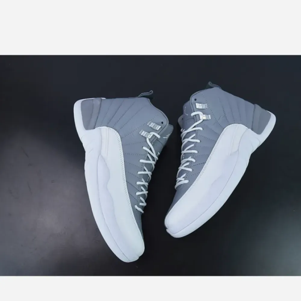 Air Jordan 12 Stealth/White-Cool Grey  CT8013-015