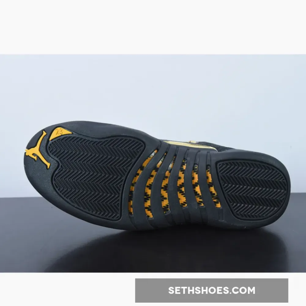 Air Jordan 12 Black Taxi  CT8013-071