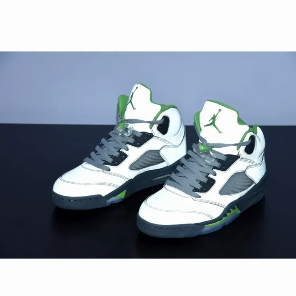 Air Jordan 5 Silver/Green Bean/Flint Grey  DM9014-003