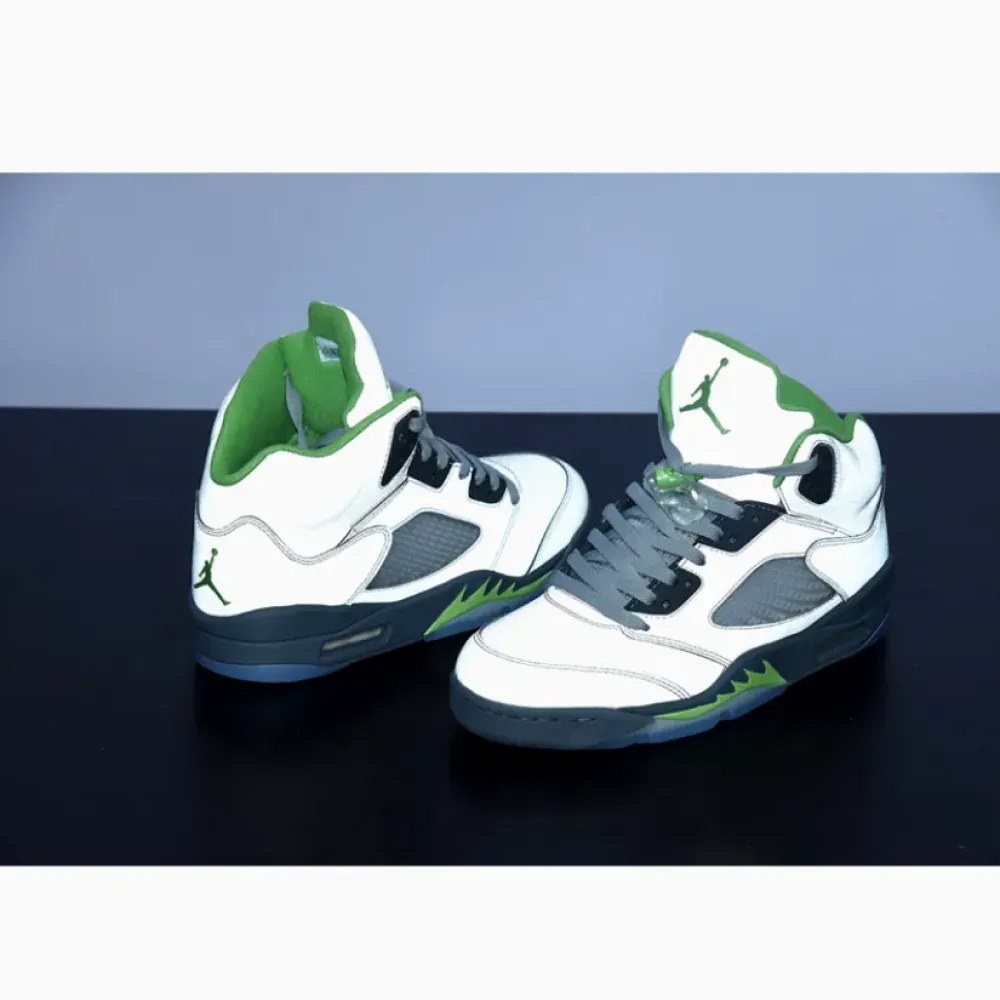 Air Jordan 5 Silver/Green Bean/Flint Grey  DM9014-003
