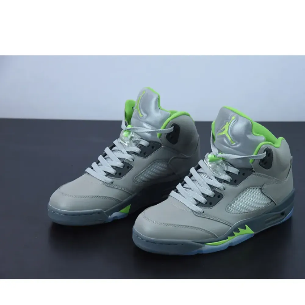 Air Jordan 5 Silver/Green Bean/Flint Grey  DM9014-003