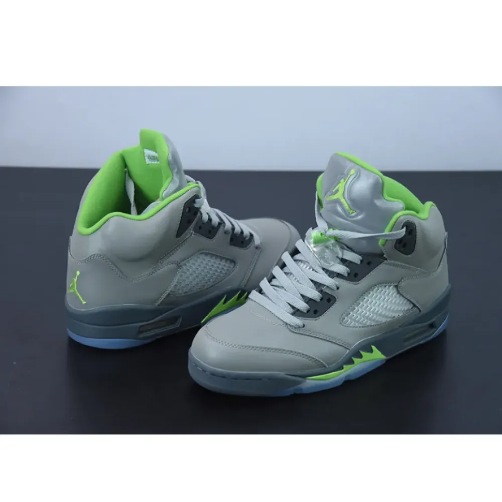 Air Jordan 5 Silver/Green Bean/Flint Grey  DM9014-003