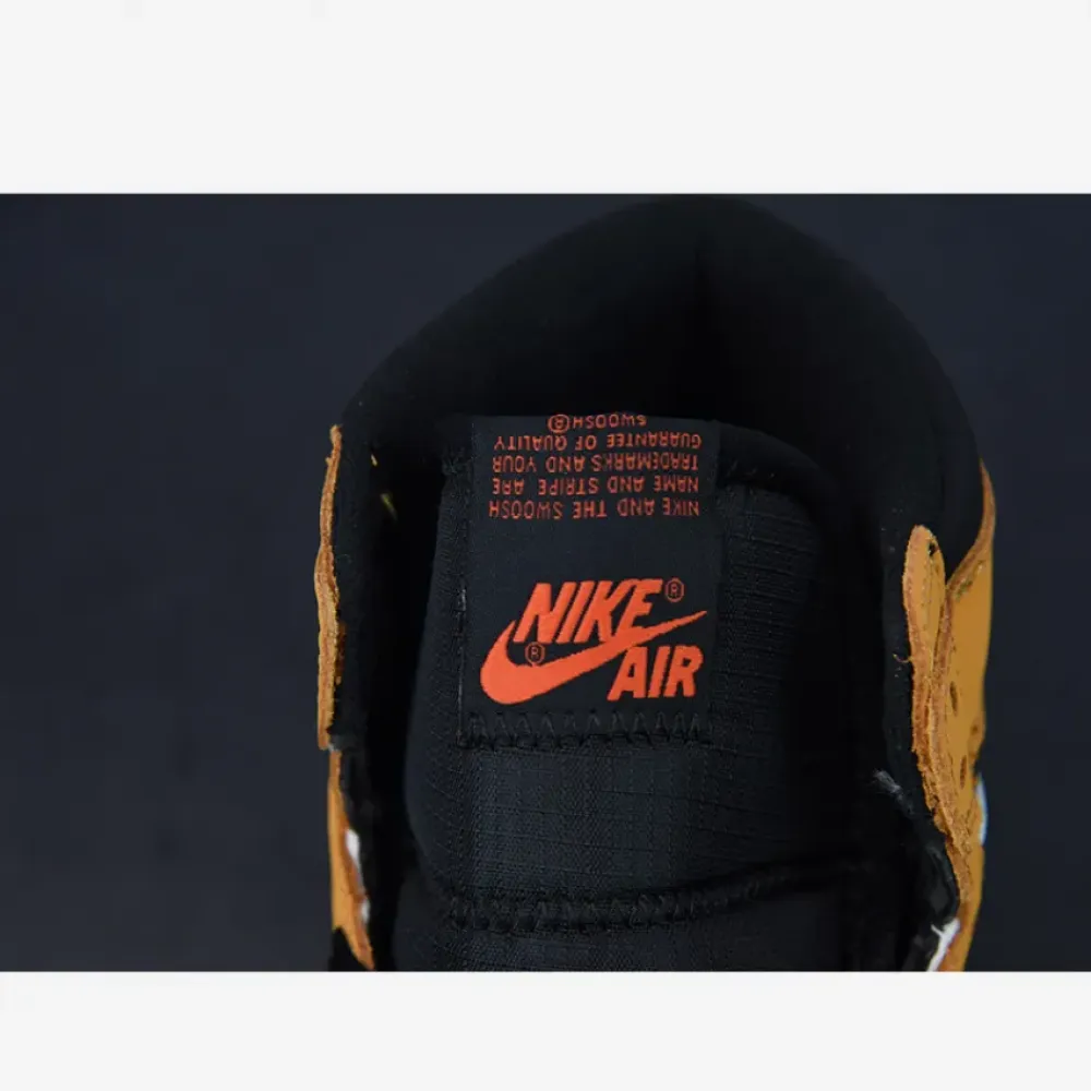 Air Jordan 1 Element GORE-TEX Light Curry/Cardinal Red/Sail/Black  DB2889-700