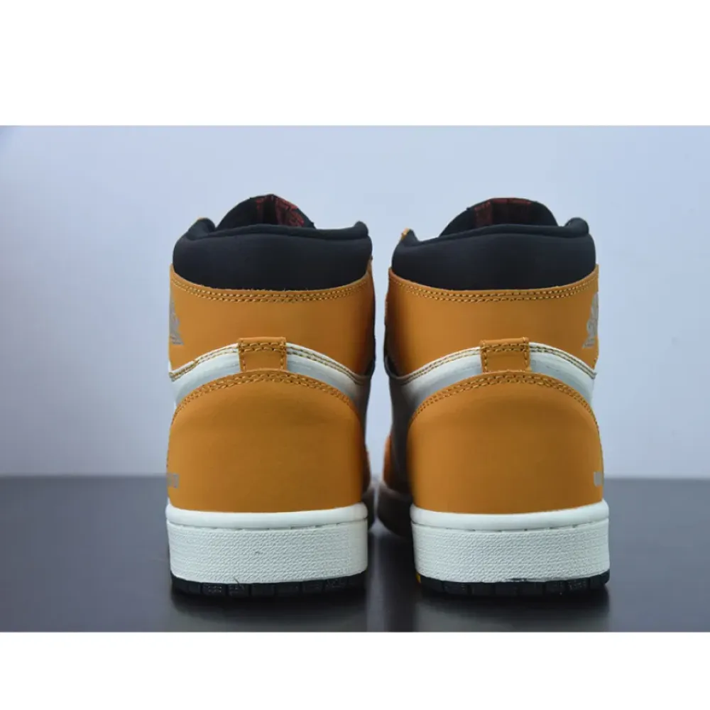 Air Jordan 1 Element GORE-TEX Light Curry/Cardinal Red/Sail/Black  DB2889-700