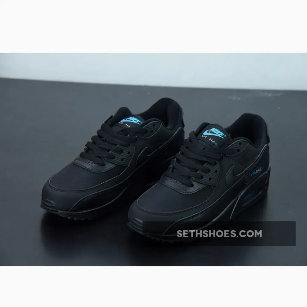 Nike Air Max 90 Triple Black  CN8490-003