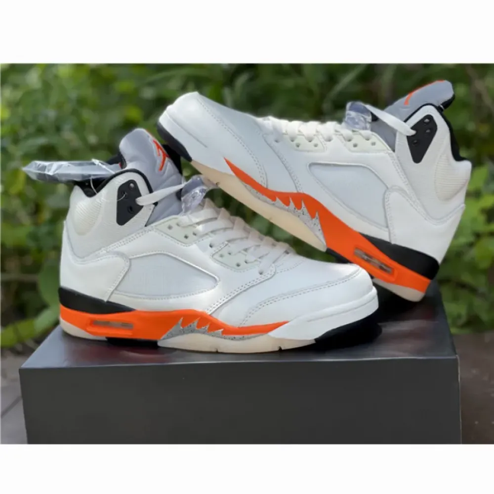 Air Jordan 5 ‘Shattered Backboard’  DC1060-100